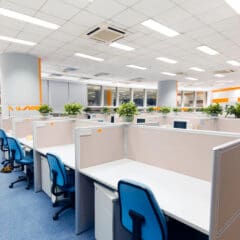 A modern office space with multiple empty cubicles featuring blue chairs and computers. Potted plants adorn the cubicle dividers, and the floor is carpeted in blue. The ceiling, crafted by a skilled dry lining contractor, is lined with fluorescent lights.